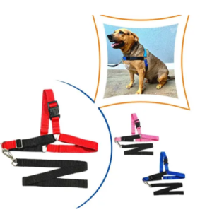 Coleira Anti Puxão Peitoral Cão Porte Pequeno Médio Grande