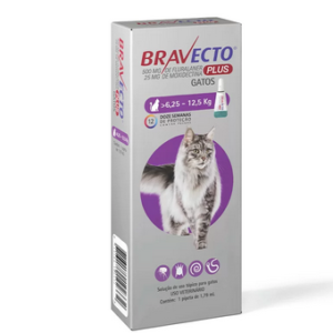 Anti Pulgas Bravecto Plus para Gatos de 6,24kg a 12,5kg