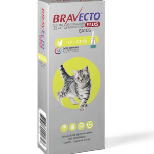 Anti Pulgas Bravecto Plus para Gatos de Até 2,5kg